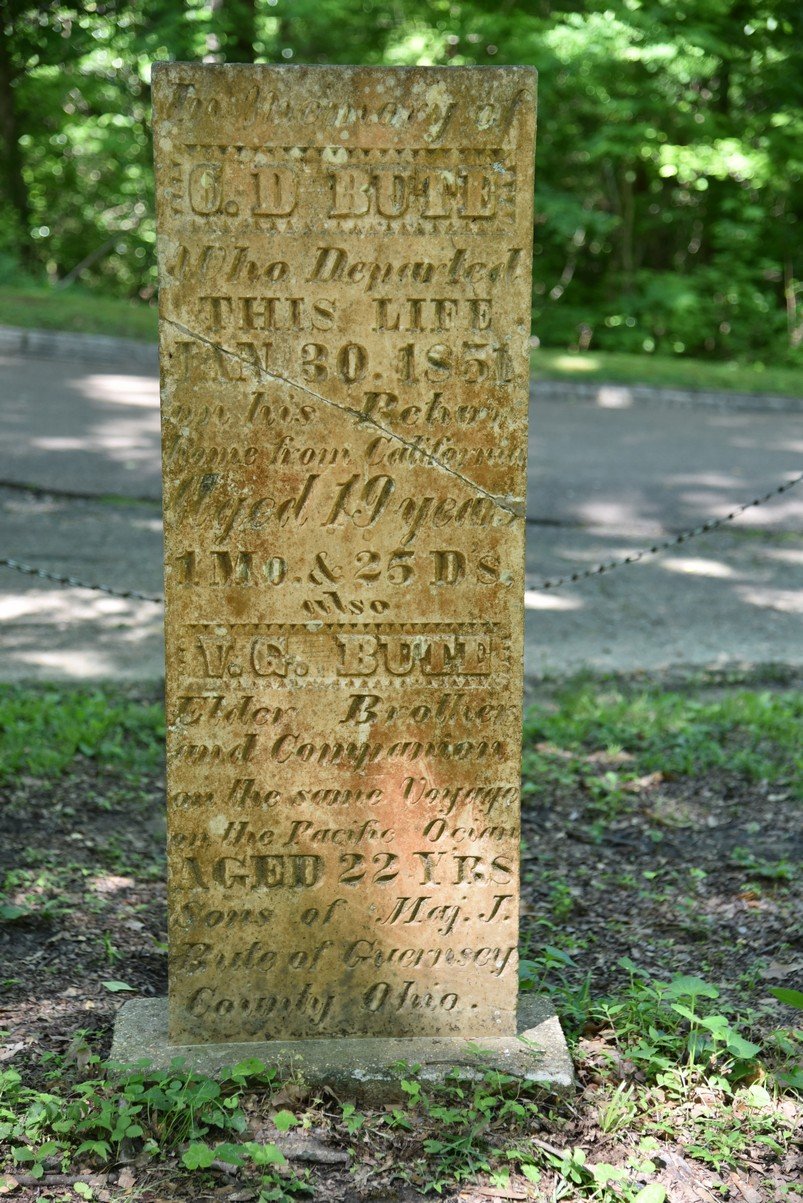 dsc_3410_fs.jpg