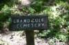 dsc_3411_fs_small.jpg