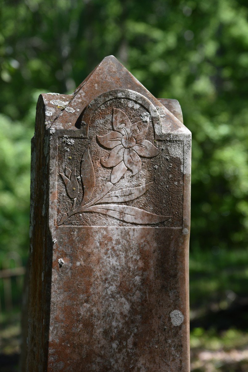 dsc_3414_fs.jpg