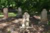 dsc_3416_fs_small.jpg