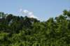 dsc_3423_fs_small.jpg