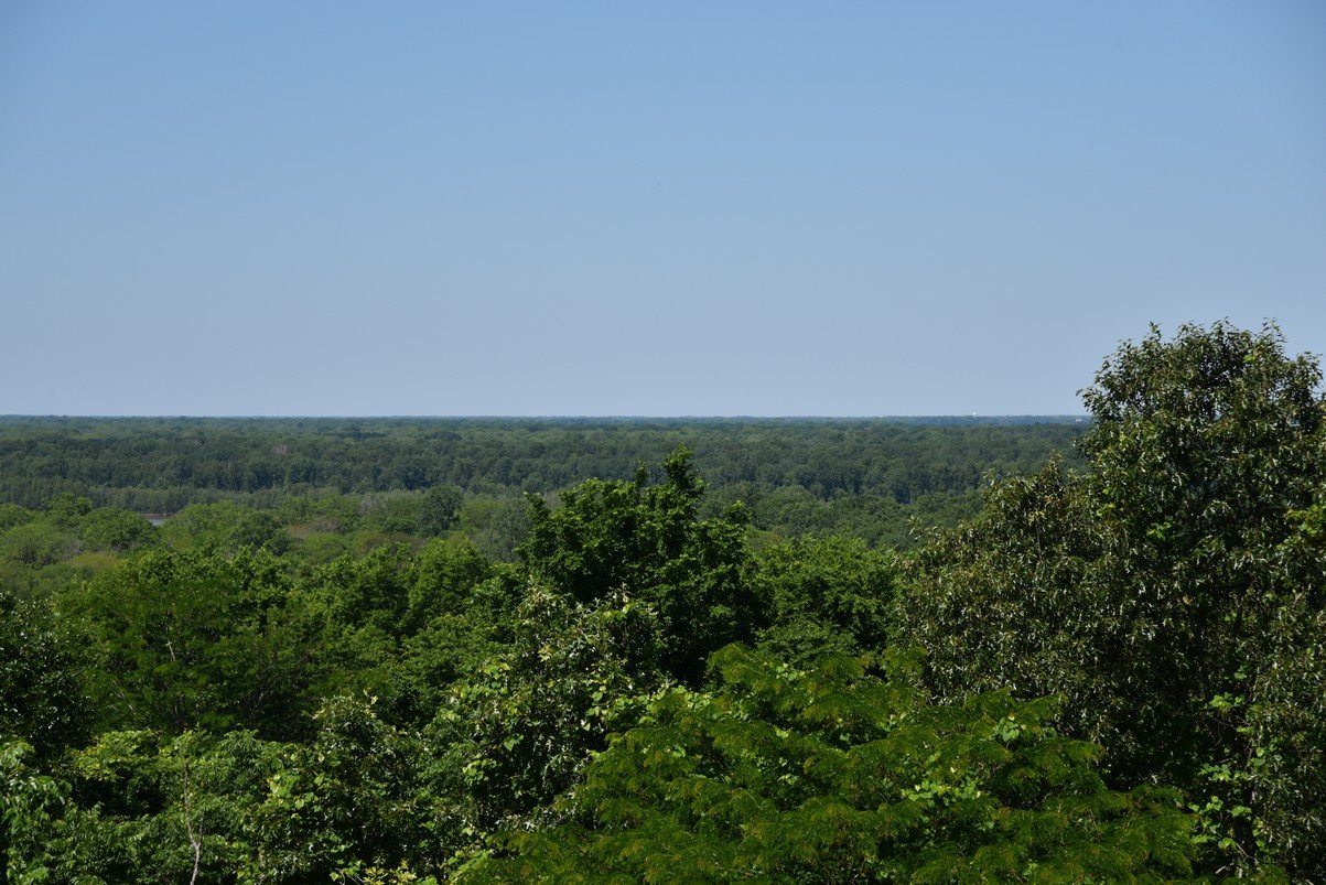 dsc_3425_fs.jpg