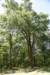 dsc_3428_fs_small.jpg