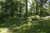dsc_3431_fs_small.jpg