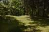 dsc_3434_fs_small.jpg