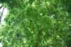 dsc_3436_fs_small.jpg