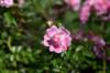 dsc_3438_fs_small.jpg