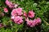 dsc_3439_fs_small.jpg