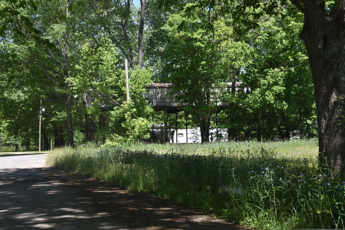 dsc_3495_fs.jpg