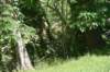 dsc_3501_fs_small.jpg