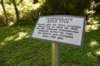 dsc_3502_fs_small.jpg