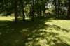 dsc_3503_fs_small.jpg