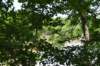 dsc_3514_fs_small.jpg