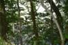 dsc_3515_fs_small.jpg