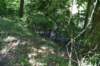 dsc_3516_fs_small.jpg