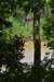 dsc_3517_fs_small.jpg