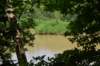 dsc_3518_fs_small.jpg