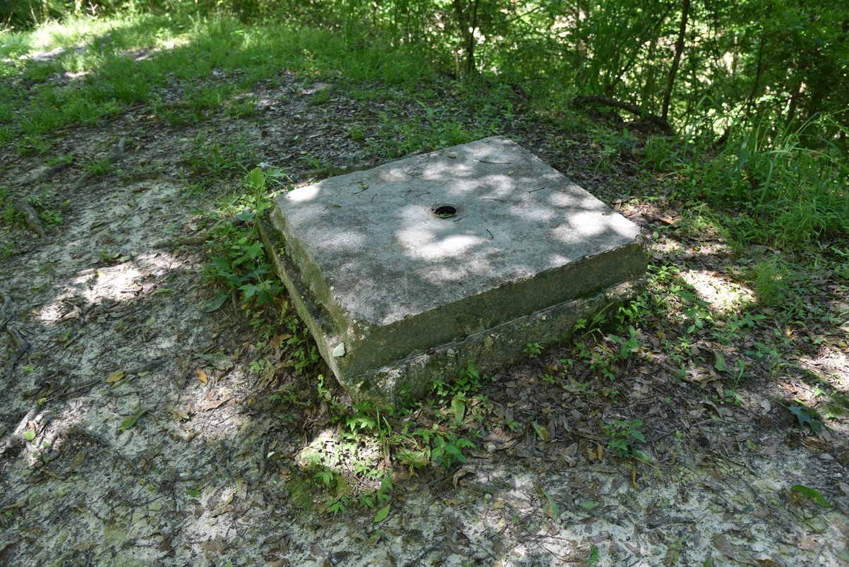 dsc_3519_fs.jpg