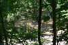 dsc_3520_fs_small.jpg