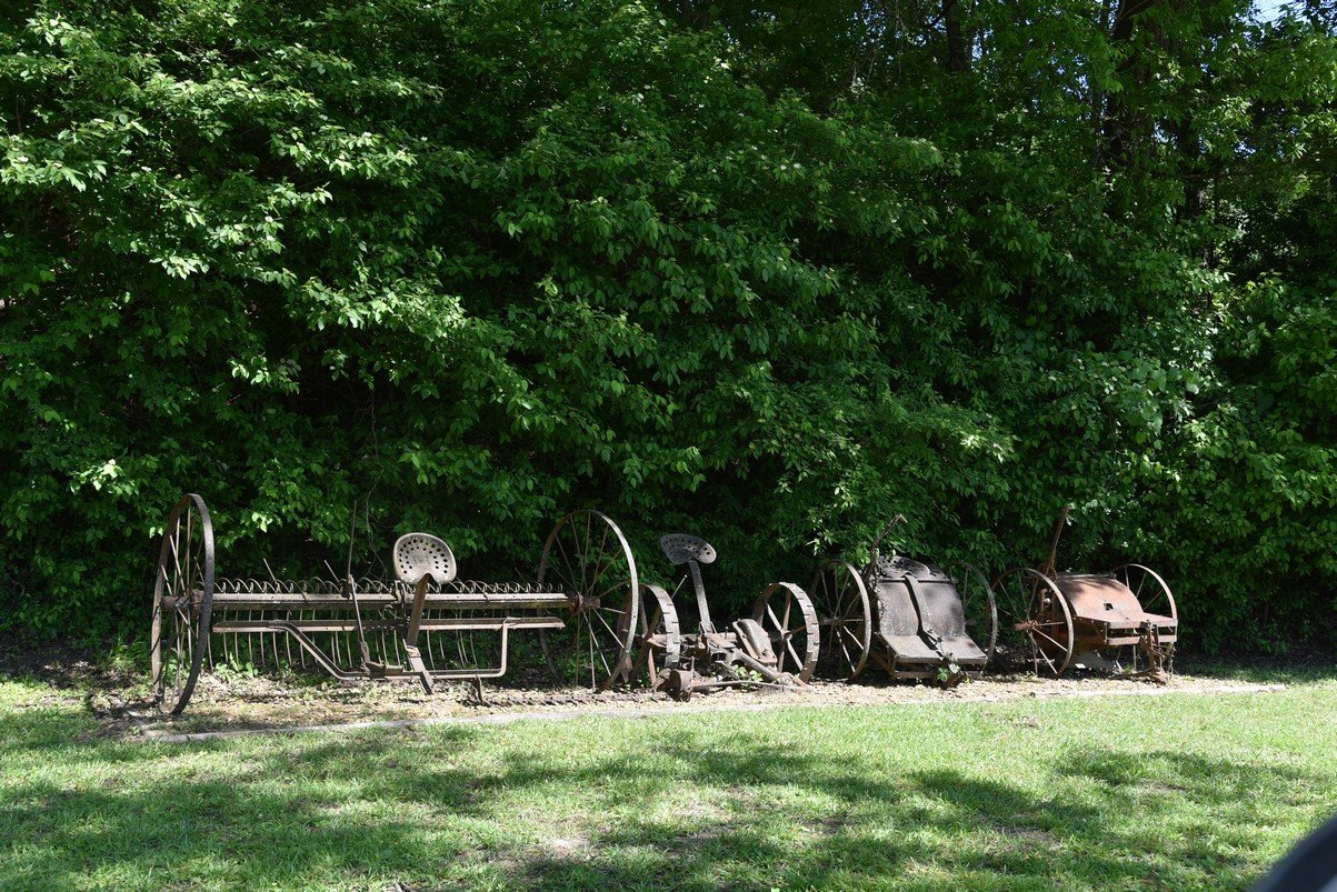 dsc_3599_fs.jpg