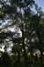 dsc_3613_fs_small.jpg