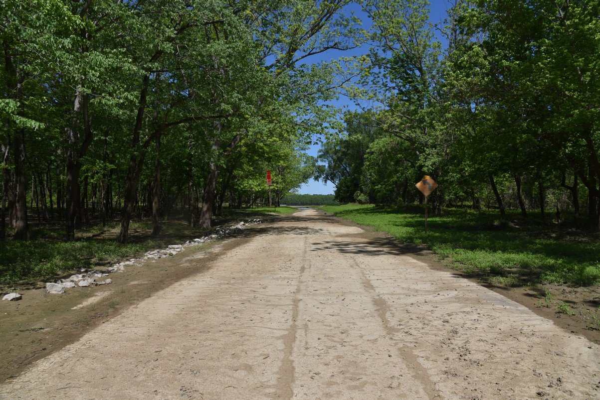 dsc_3447_fs.jpg
