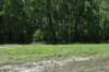 dsc_3484_fs_small.jpg