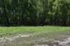 dsc_3485_fs_small.jpg