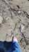 dsc_3489_fsb_small.jpg