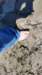 dsc_3489_fsc_small.jpg