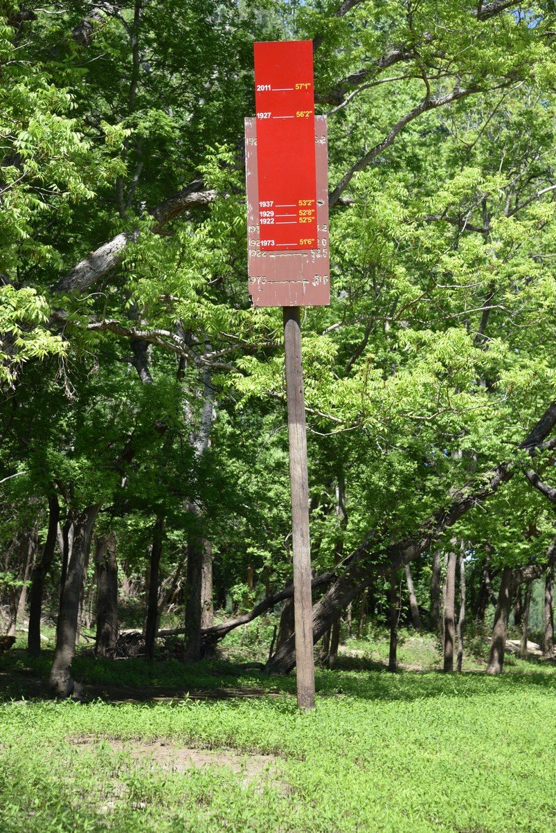 dsc_3491_fsc.jpg