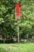 dsc_3491_fsc_small.jpg