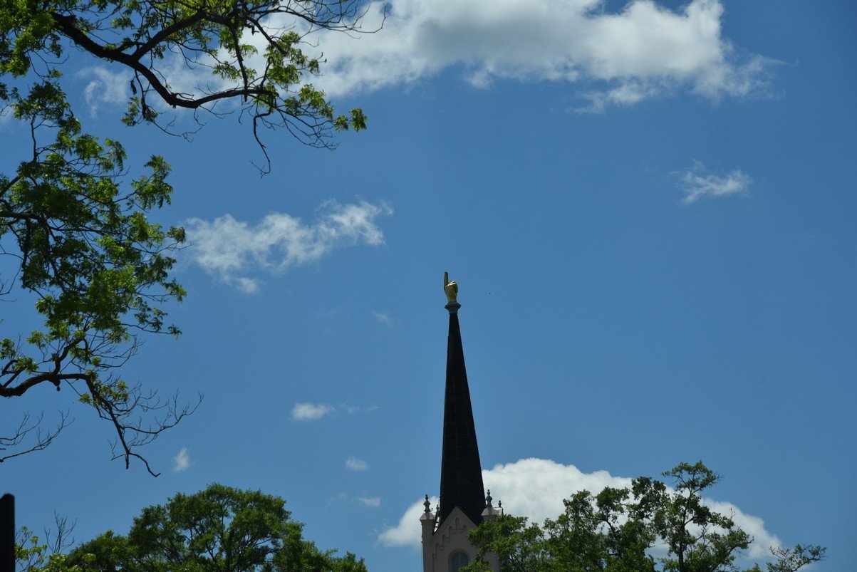 dsc_3527_fs.jpg