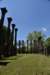 dsc_3550_fs_small.jpg