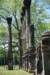 dsc_3554_fs_small.jpg