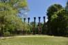 dsc_3555_fs_small.jpg