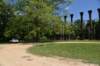 dsc_3556_fs_small.jpg