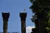 dsc_3557_fs_small.jpg