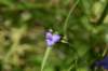 dsc_3559_fs_small.jpg