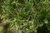 dsc_3560_fs_small.jpg