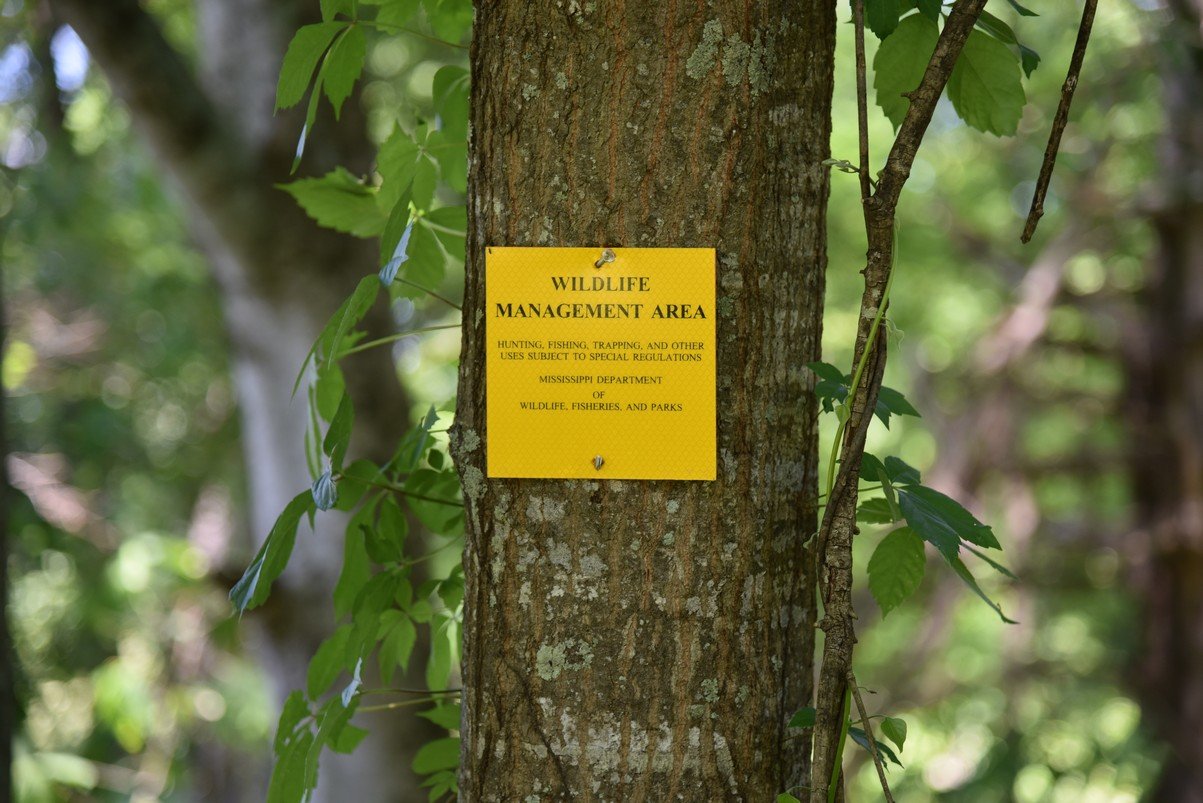 dsc_3561_fs.jpg