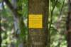dsc_3561_fs_small.jpg