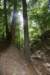 dsc_3763_fs_small.jpg