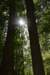 dsc_3764_fs_small.jpg