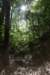 dsc_3765_fs_small.jpg