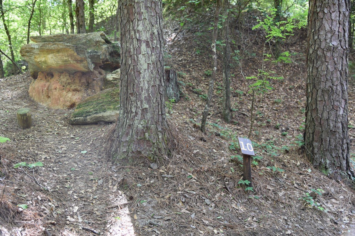 dsc_3768_fs.jpg