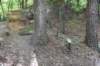 dsc_3768_fs_small.jpg