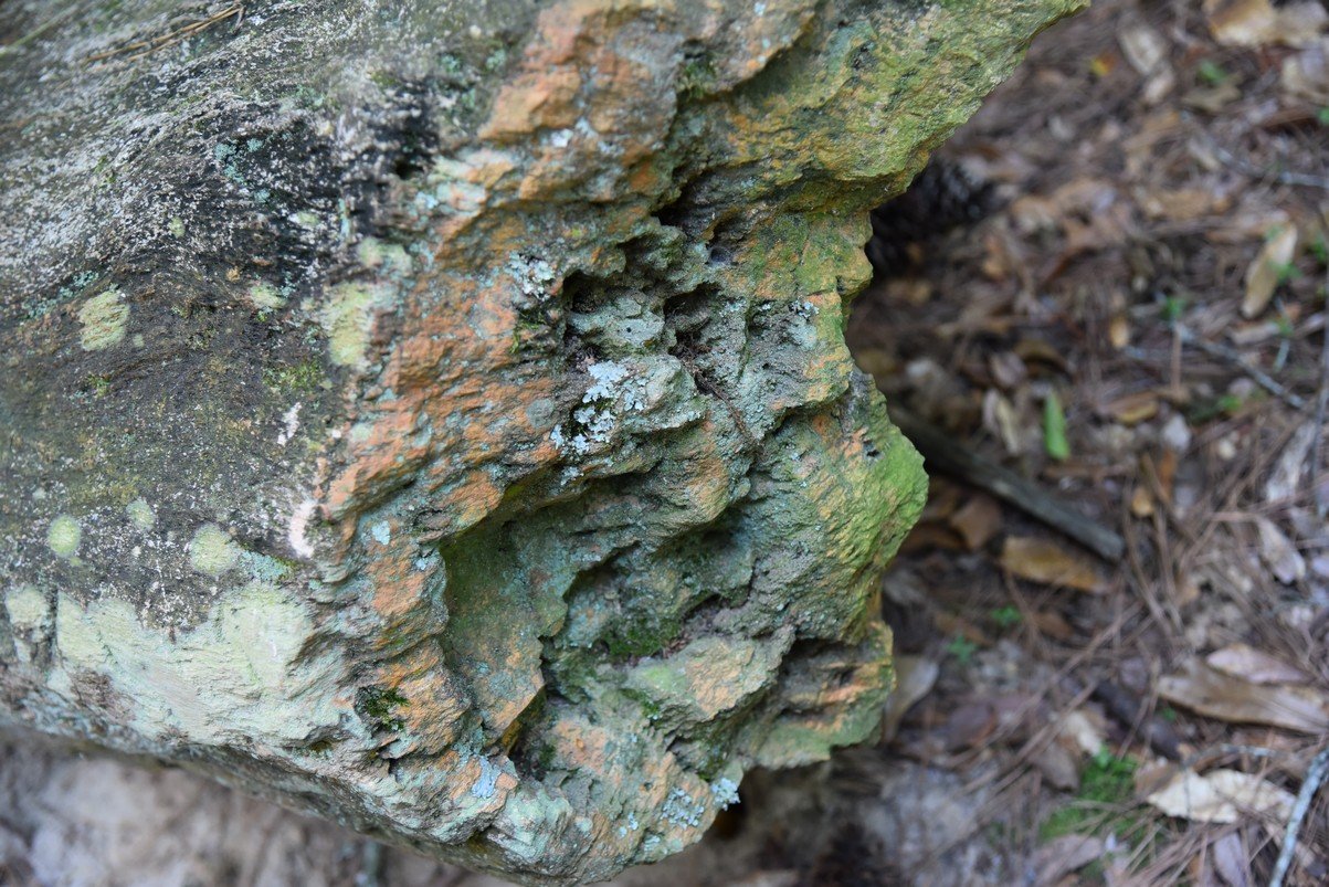 dsc_3771_fs.jpg