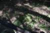 dsc_3772_fs_small.jpg