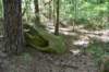 dsc_3775_fs_small.jpg